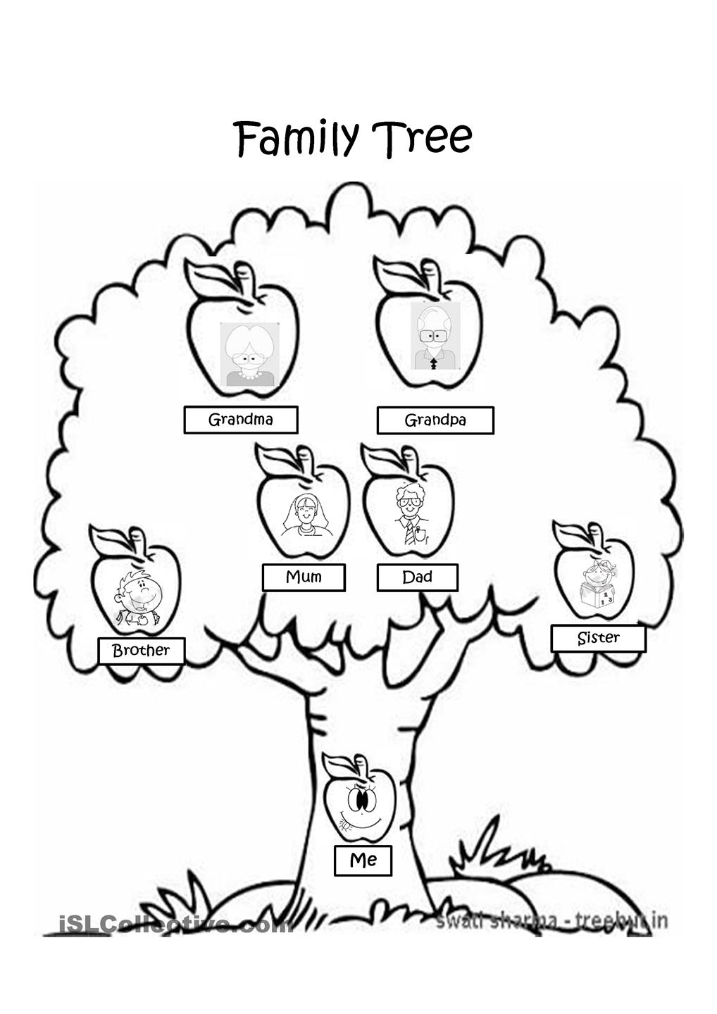 Family Tree Drawing Detailed Sketch