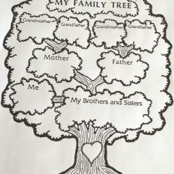 Family Tree Drawing Fine Art