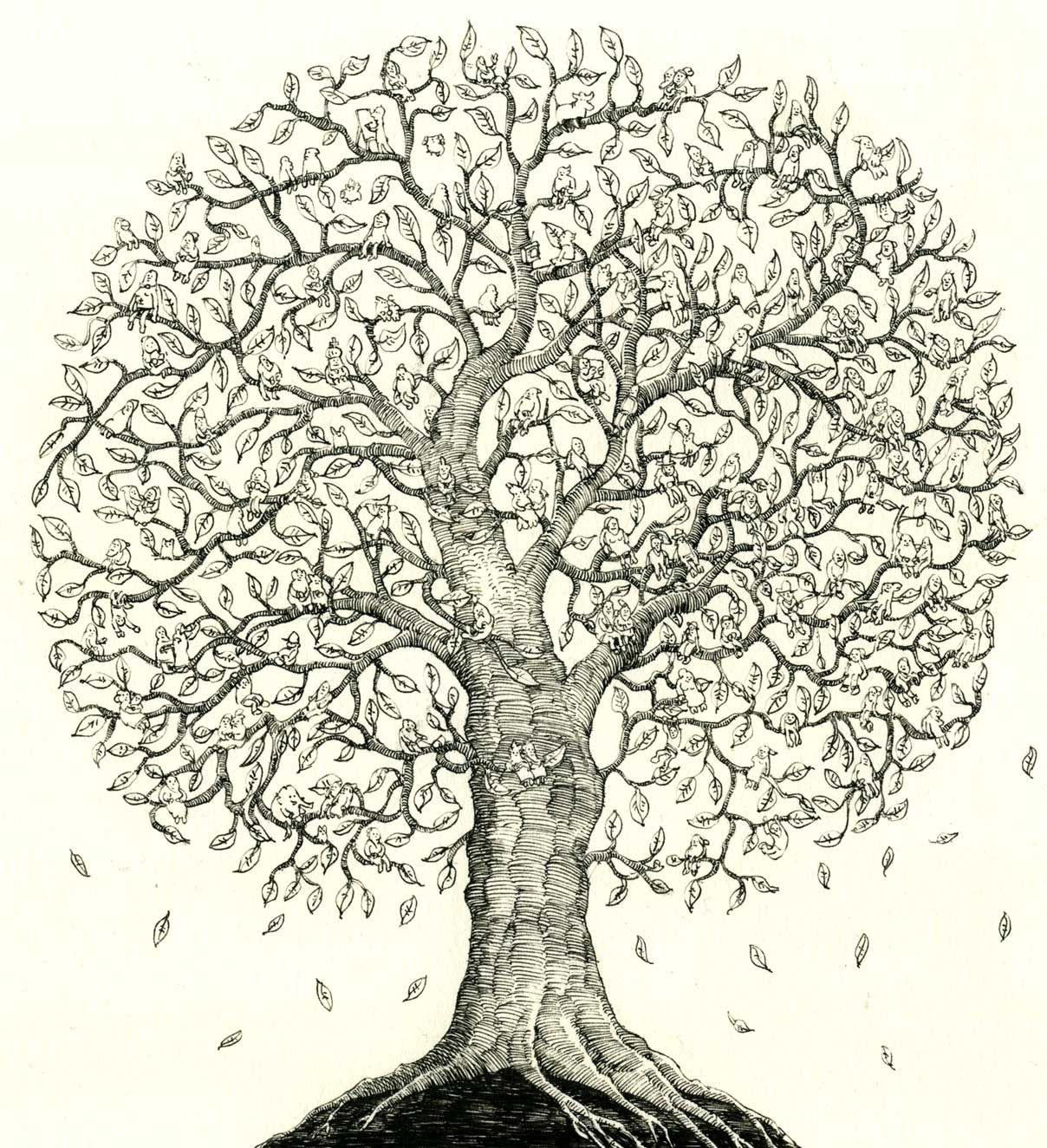 Family Tree Drawing Photo