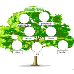 Family Tree Drawing Picture