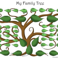 Family Tree Drawing Professional Artwork