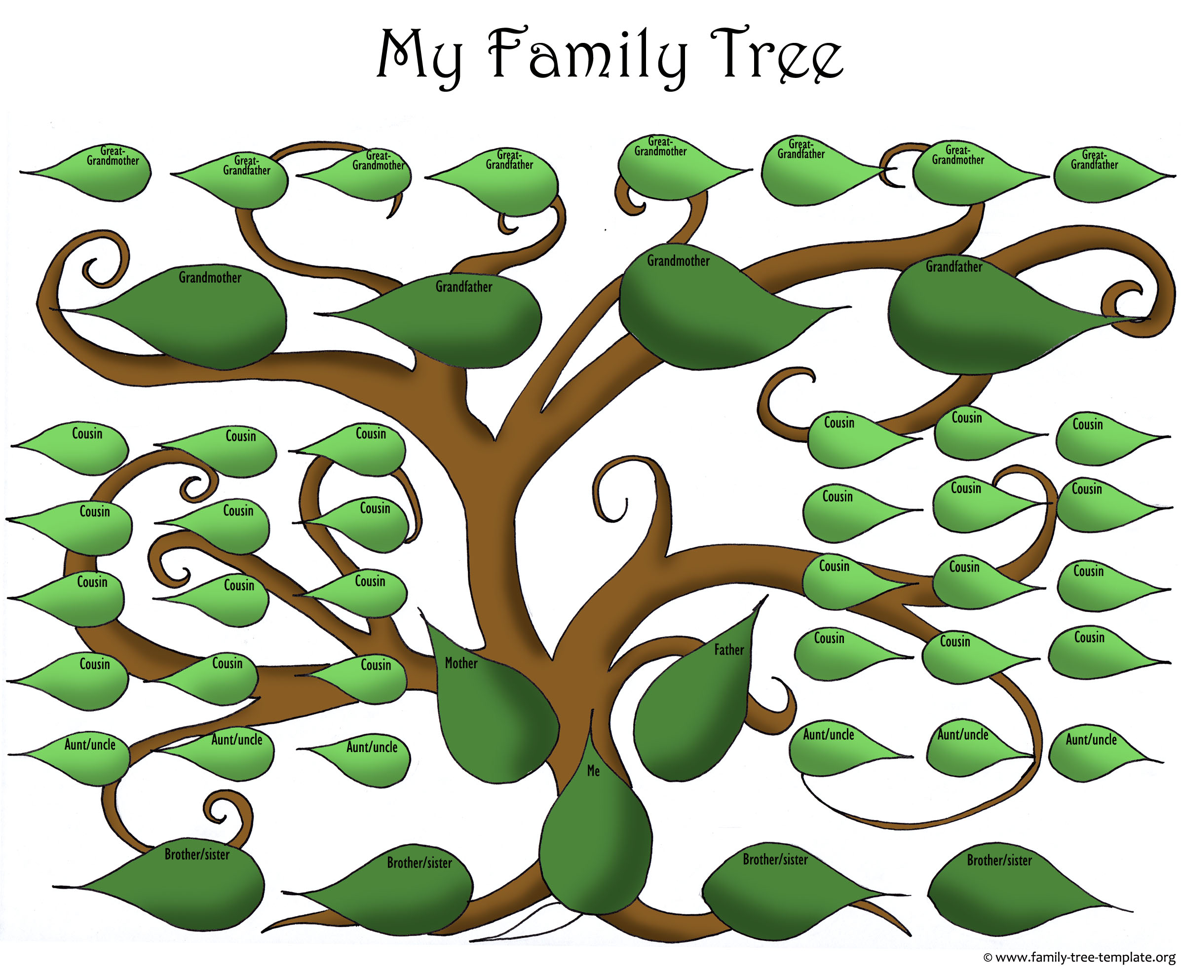 Family Tree Drawing Professional Artwork