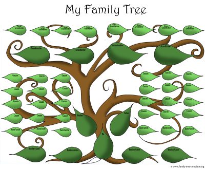 Family Tree, Generations, Lineage, Heritage, Ancestry Drawing