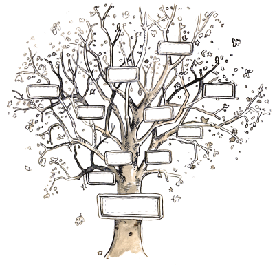 Family Tree, Heritage, Ancestry, Lineage, Generations Drawing