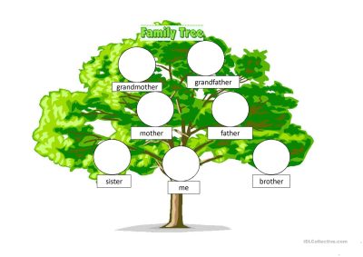 Family Tree, Lineage, Heritage, Ancestry, Genealogy Drawing