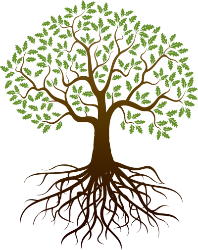 Family Tree, Generations, Lineage, Heritage, Ancestry Drawing