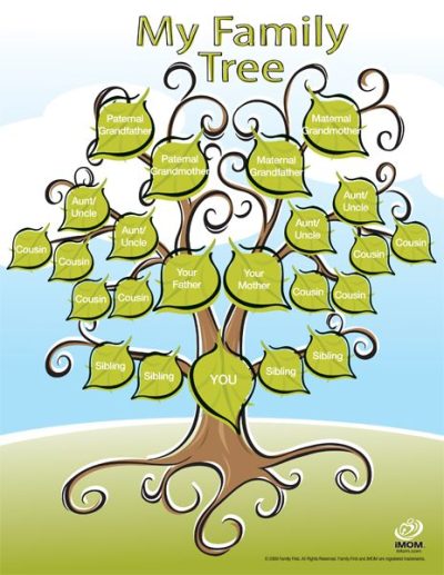 Family Tree, Ancestry, Lineage, Heritage, Genealogy Drawing