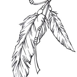 Feather Drawing Art