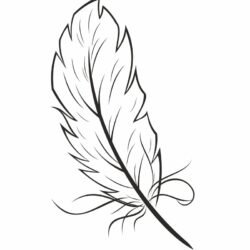 Feather Drawing Creative Style