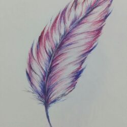 Feather Drawing Modern Sketch