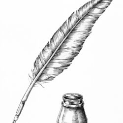 Feather Drawing Photo