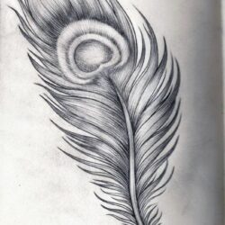 Feather Drawing Unique Art