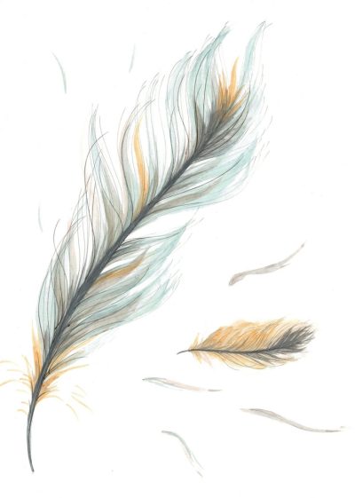 Feather, Lightness, Grace, Nature, Flight Drawing