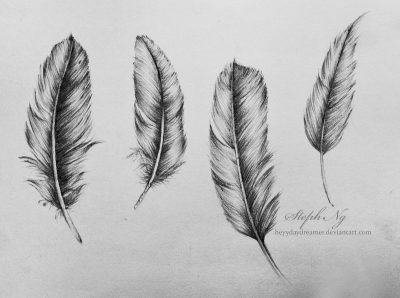 Feather, Lightness, Grace, Nature, Flight Drawing