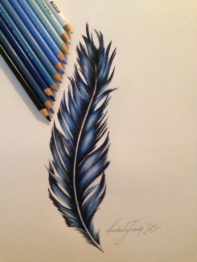 Feather, Grace, Nature, Flight, Lightness Drawing