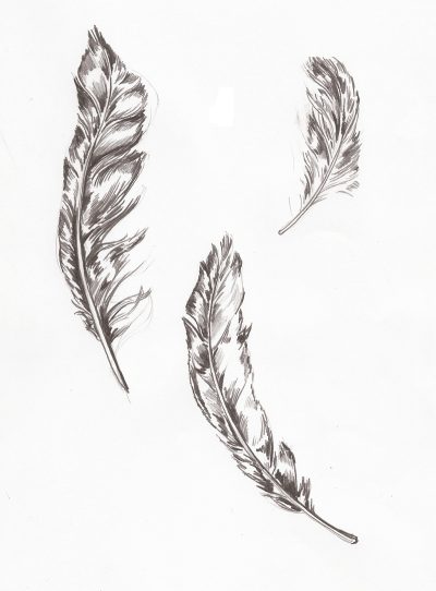 Feather, Grace, Nature, Flight, Lightness Drawing