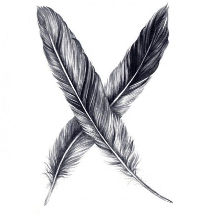 Feather, Lightness, Grace, Nature, Flight Drawing