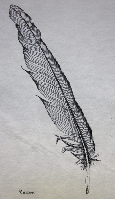 Feather, Lightness, Grace, Nature, Flight Drawing