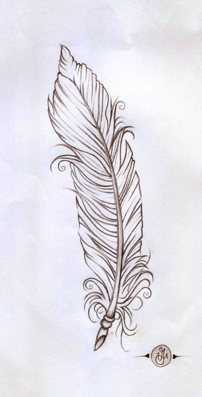 Feather, Lightness, Grace, Nature, Flight Drawing