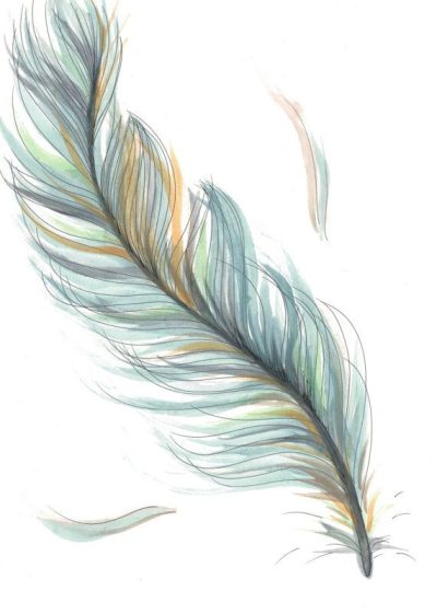 Feather, Lightness, Grace, Nature, Flight Drawing