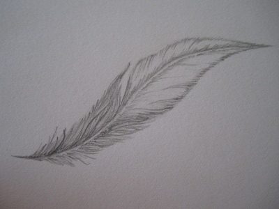 Feather, Lightness, Grace, Nature, Flight Drawing