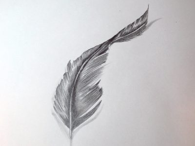 Feather, Lightness, Grace, Nature, Flight Drawing