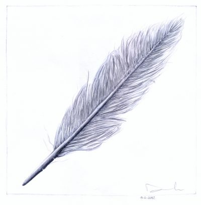 Feather, Lightness, Grace, Nature, Flight Drawing