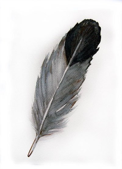 Feather, Lightness, Grace, Nature, Flight Drawing