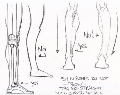 Feet, Measurement, Size, Length, Distance Drawing