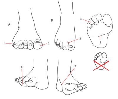 Feet, Measurement, Size, Length, Distance Drawing