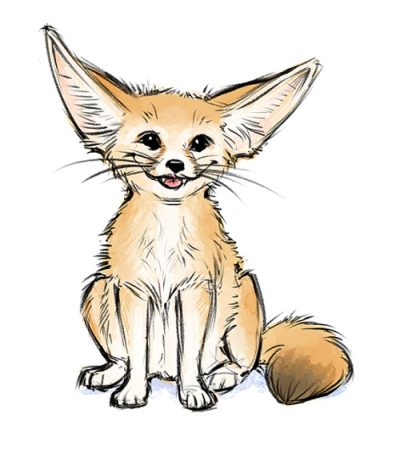 Fennec Fox, Small Size, Nocturnal Behavior, Large Ears, Desert Adaptation Drawing