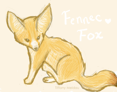 Fennec Fox, Small Size, Nocturnal Behavior, Large Ears, Desert Adaptation Drawing