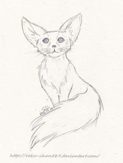 Fennec Fox, Small Size, Nocturnal Behavior, Large Ears, Desert Adaptation Drawing