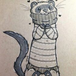 Ferret Drawing Image