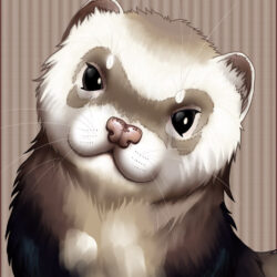 Ferret Drawing Intricate Artwork