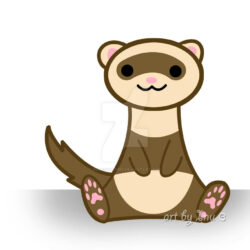 Ferret Drawing Photo