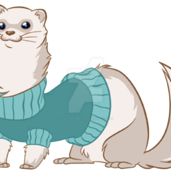 Ferret Drawing Professional Artwork