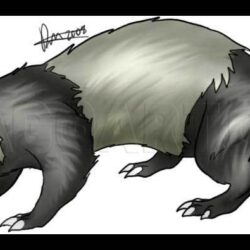 Ferret Drawing Unique Art