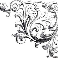 Filigree Drawing Realistic Sketch