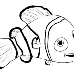 Finding Nemo Drawing Artistic Sketching