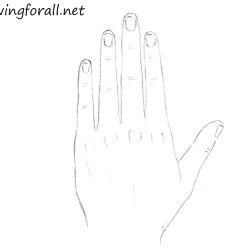 Fingers Drawing Art