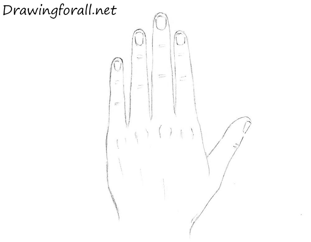 Fingers Drawing Art