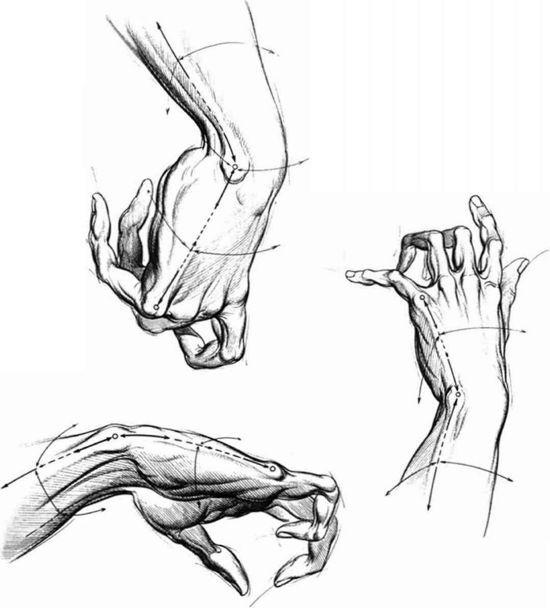 Fingers Drawing Detailed Sketch