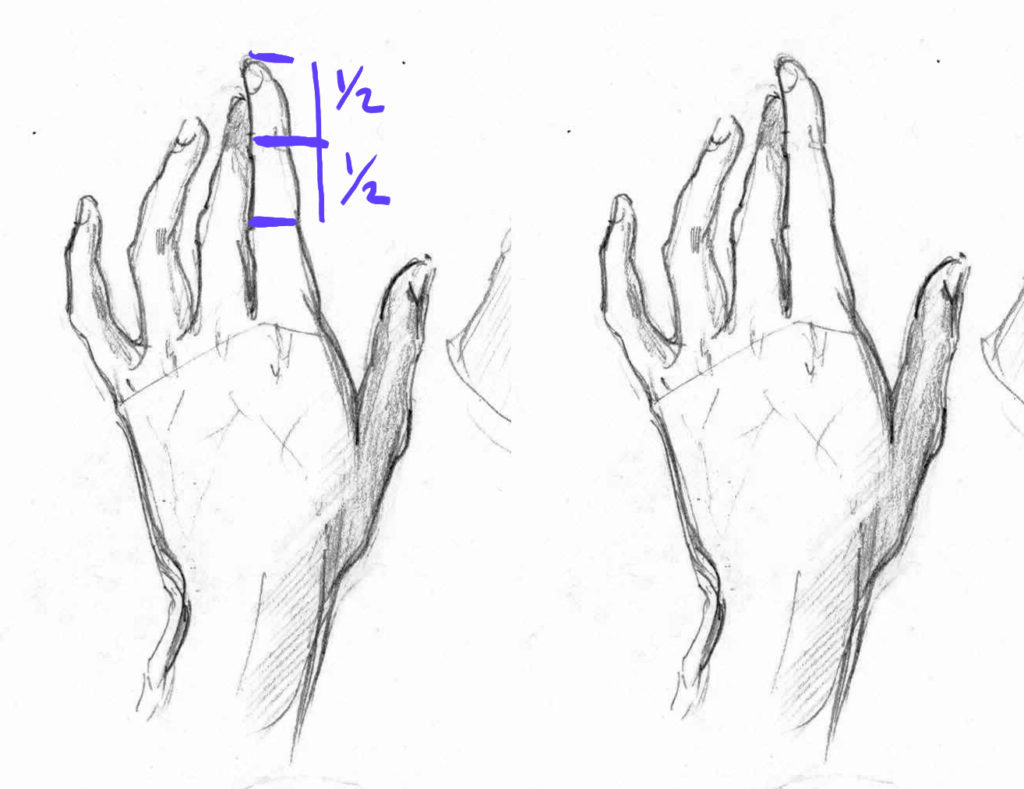 Fingers Drawing Hand drawn Sketch