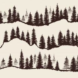 Fir Tree Drawing