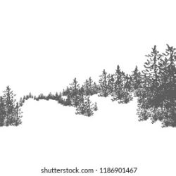 Fir Tree Drawing Sketch