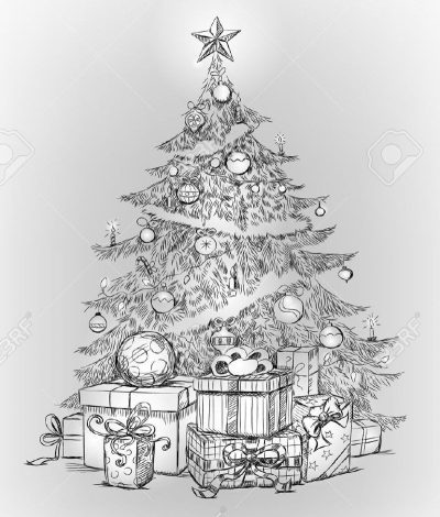 Fir Tree, Forest, Nature, Evergreen, Beauty Drawing