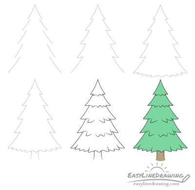 Fir Tree, Nature, Conifer, Winter, Evergreen Drawing