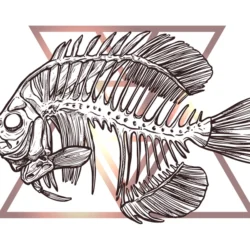 Fish Skeleton Drawing Intricate Artwork