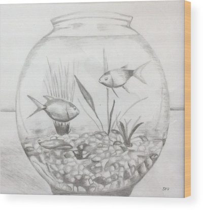 Fish, Swim, Aquatic, Marine, Scales Drawing